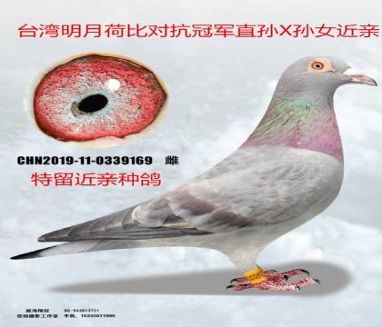 ����ղɭ�ɱȶԿ��ھ�����