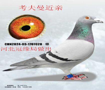 ��Ե����������������