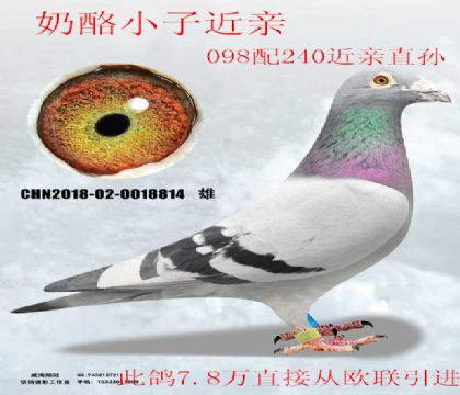 7.8������ŷ�����ҽ���