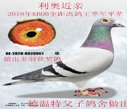 ������ԭ���������½���