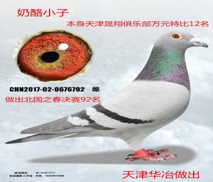 ���ұ������Ԫ��12������С��