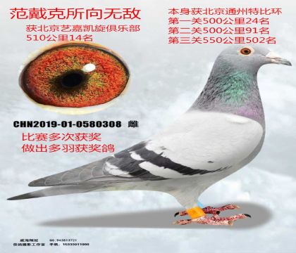 500����14����γɼ������������޵�