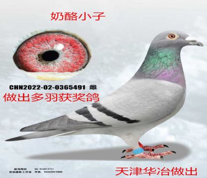 ���ұ��������С�ӽ���