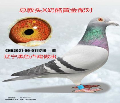 ������ɽ¬�������ܽ�ͷX����