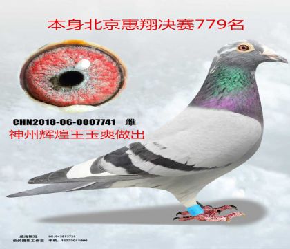 ���ݻԻ�����ˬ���������������779��