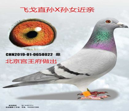 ����������ԭ��ɸ�ֱ��X��Ů����