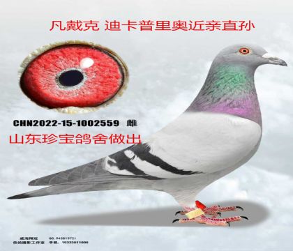 ɽ���䱦���������˵Ͽ�����½���ֱ��