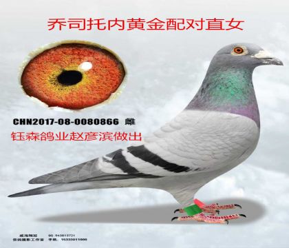 ��ɭ��ҵ�����ƽ����ֱŮ