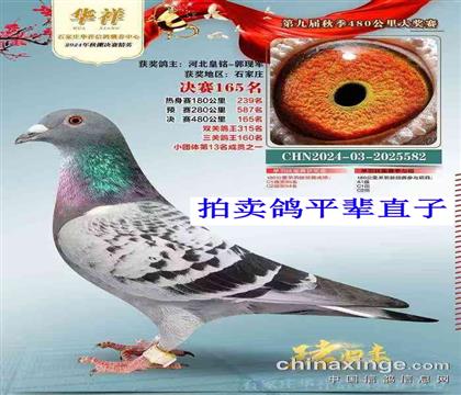 ������ƽ��ֱ��