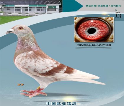 �Ͽ˷��ǲ���ԭ��440X�ƽ��ŷ40000��