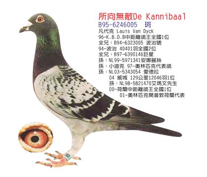 �����������޵�