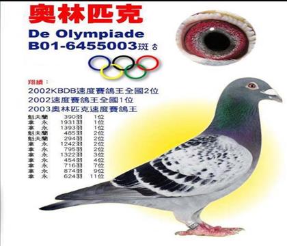 ����������003