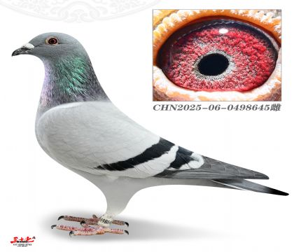 ������ԭ��ֱŮ