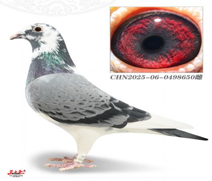 ����Ľ����-������У��