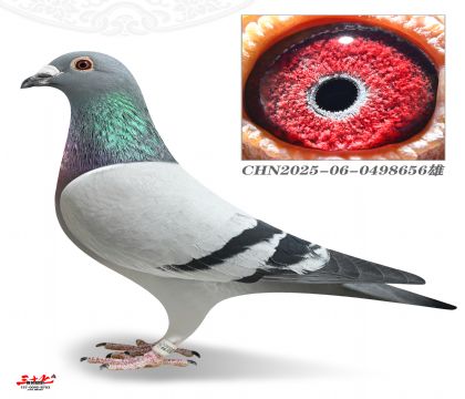 ������ԭ��ֱ��