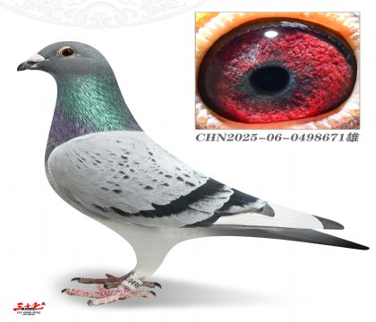 Ľ���Ű����������Ѫ