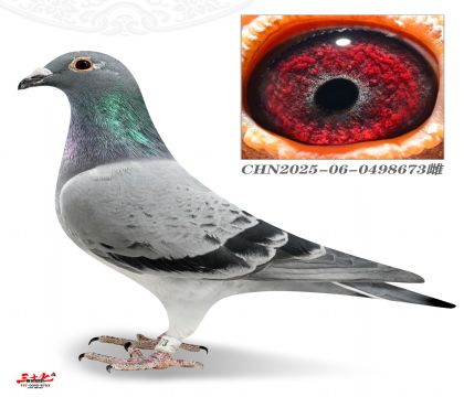 Ľ���ž�У��������Ѫ