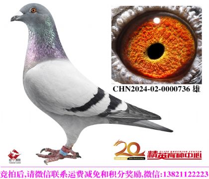 �Ǳȴ������롱���ˡ�����ֱ��