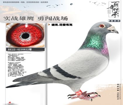 ���ض�X�����½���812