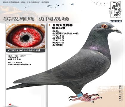 ����ʿ�ֲ�59ϵ�ۺ�15��351