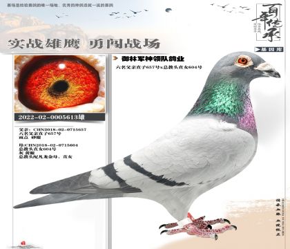 �ܽ�ͷ����613