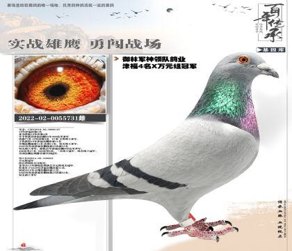 �ܽ�ͷ����731