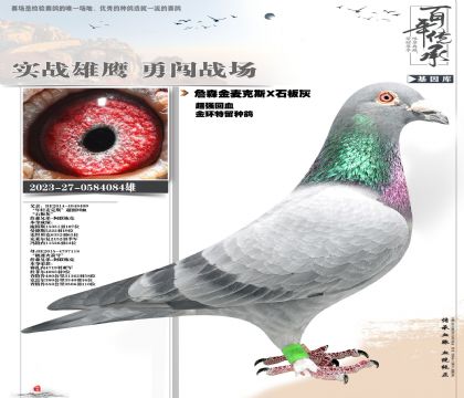 ղɭ���˹ʯ����ָ�084