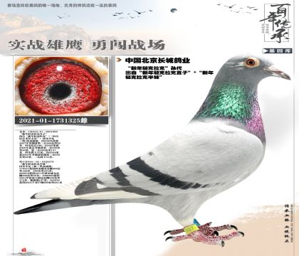 ���ǿ����������Ѫ325