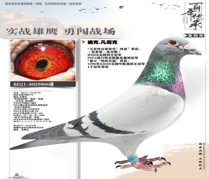 ���۷��ǲ���966