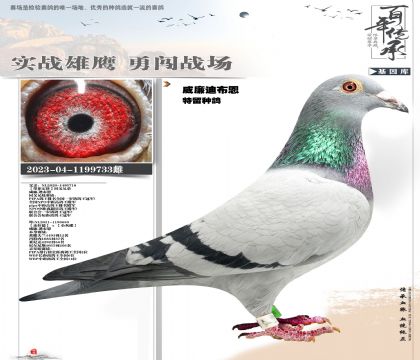 �����ϲ��������ָ�733