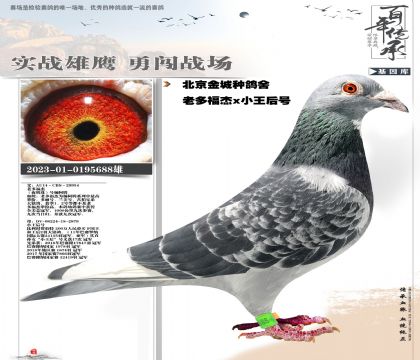 �϶ร�ܼ���688