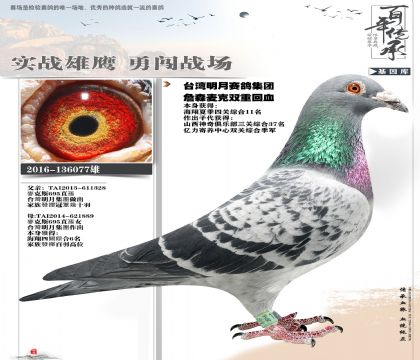 ��Ʒ��̨�����11���˹077