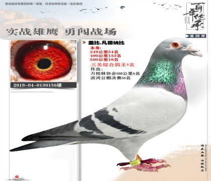 �Ǳ����ظ���9��156