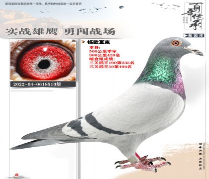 ��ŷ�߿�500���＾��510