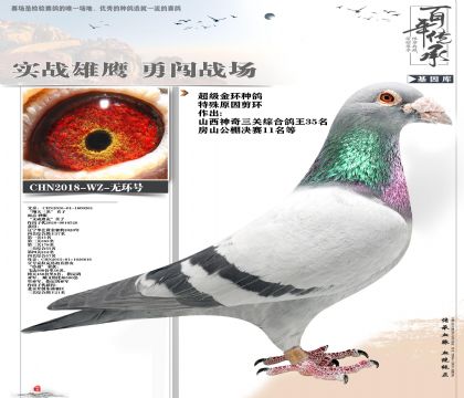 ��ѫ�ָ뱱��Ҽ�ű������𻷼���