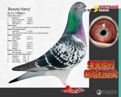 ���游 Ư������