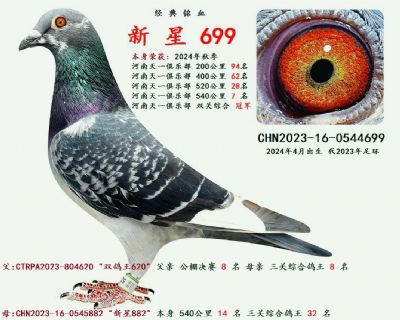 ȫ���� ˫�ظ����ھ�