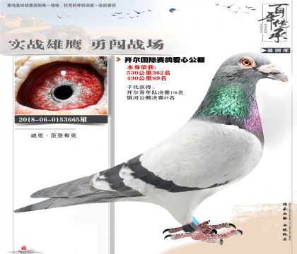 �󿪶��񽱸뷶�ǲ���655