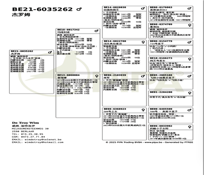 ����Ѫͳ��