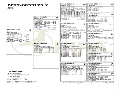 ����Ѫͳ��