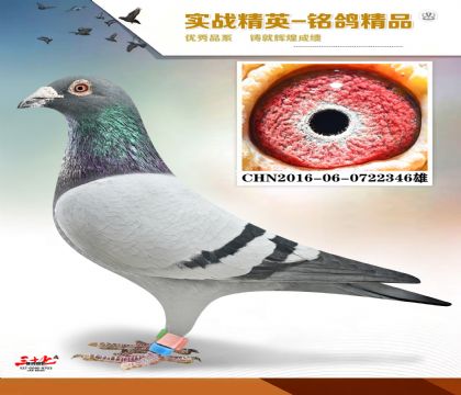 ����   ����