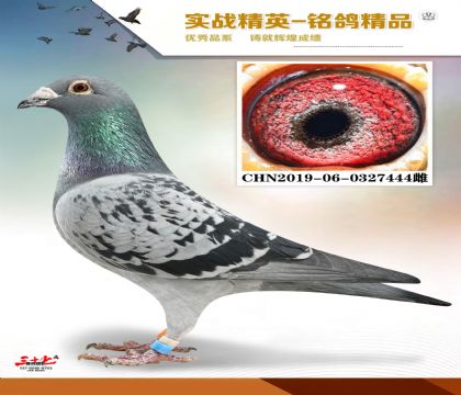 ������63ֱ��