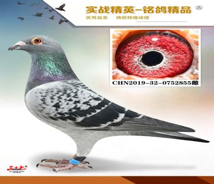 ������63 ���