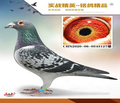 �����䷲��