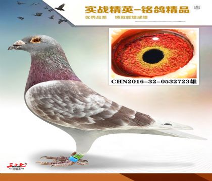 ���ǲ��˺ú��