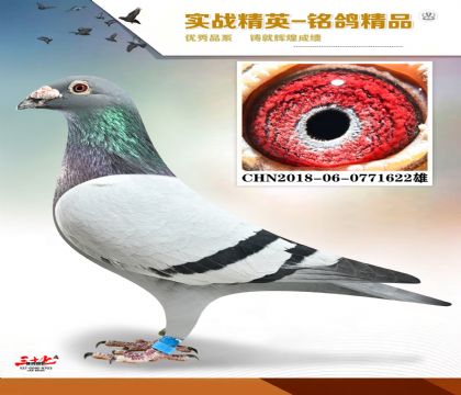 ����ɣ��ʿ    ����