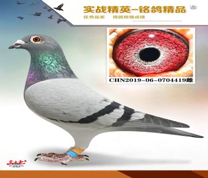 ����ɣ��ʿ    ����ĸ��