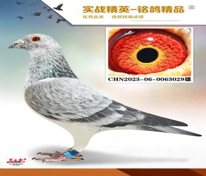 ����   ˳�����