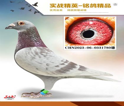 ��ս��  ������