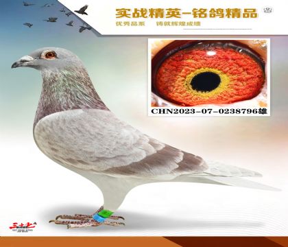 ���ǲ��ˡ��ú��Ѫϵ